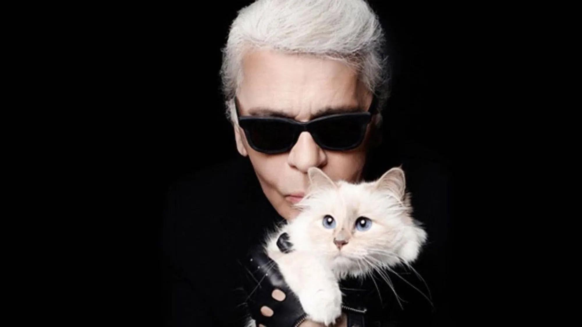 Ella es Choupette, la querida gatita de Lagerfeld; toda una influencer