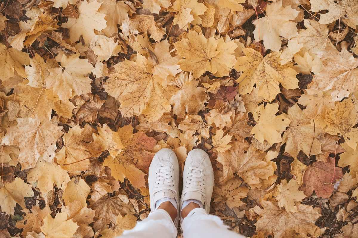 ¿Cuándo empieza el otoño en Los Ángeles, EEUU?