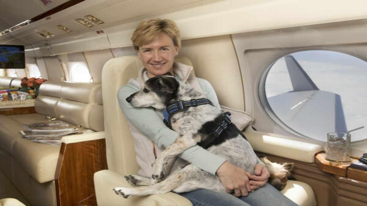 Vuela de Los Ángeles a Reino Unido con tu mascota con todo lujo