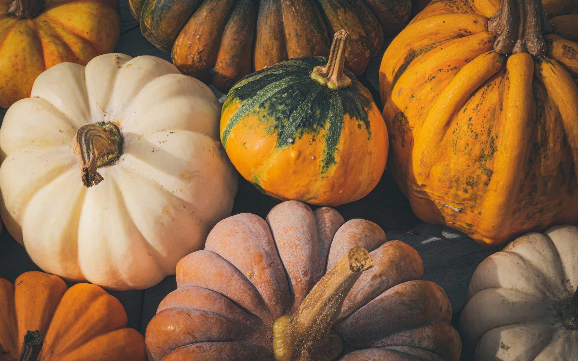 ¿Por qué la calabaza es un símbolo de Halloween?