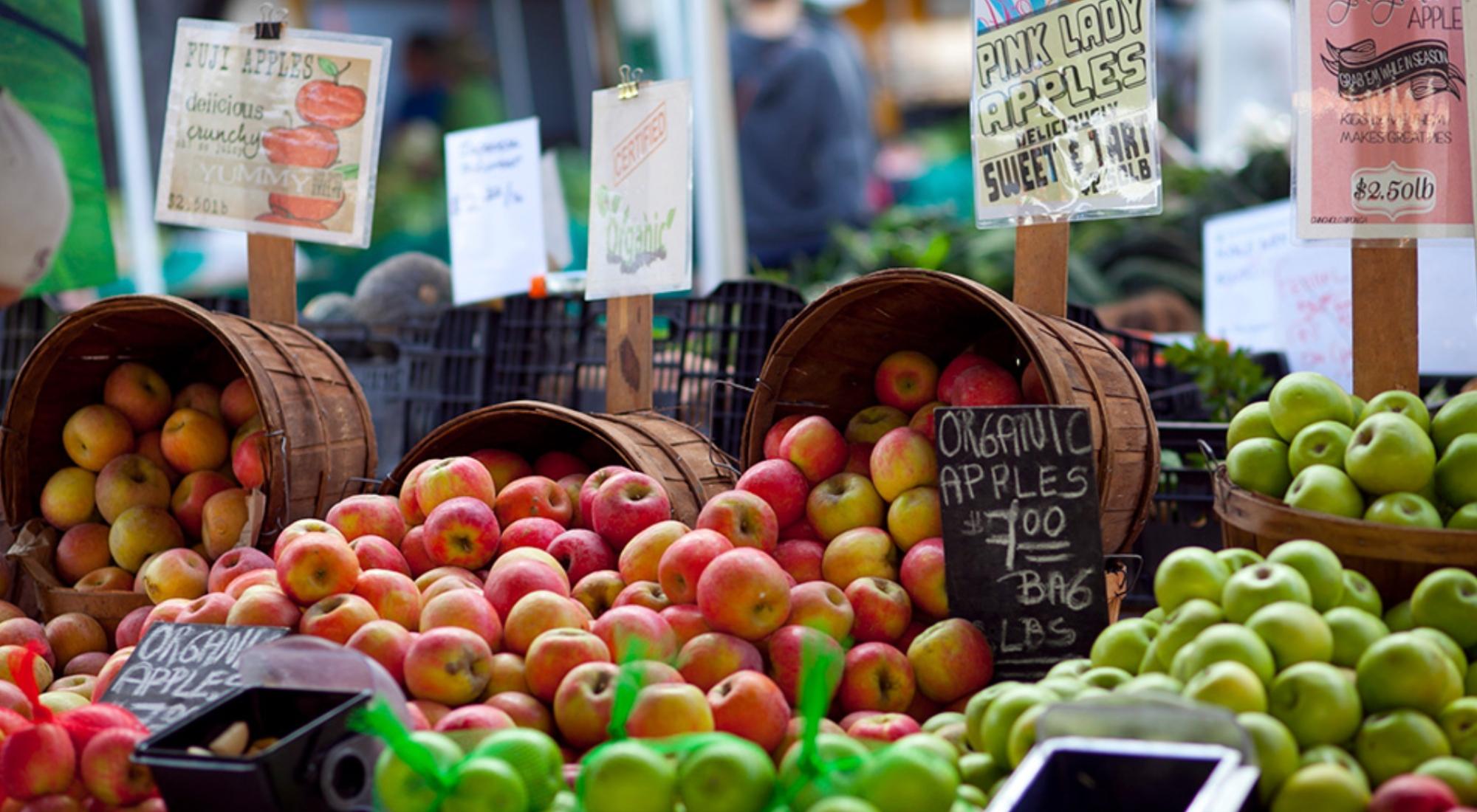 Descubriendo los mercados de agricultores: Ingredientes frescos para cocinas mexicanas en Los Ángeles