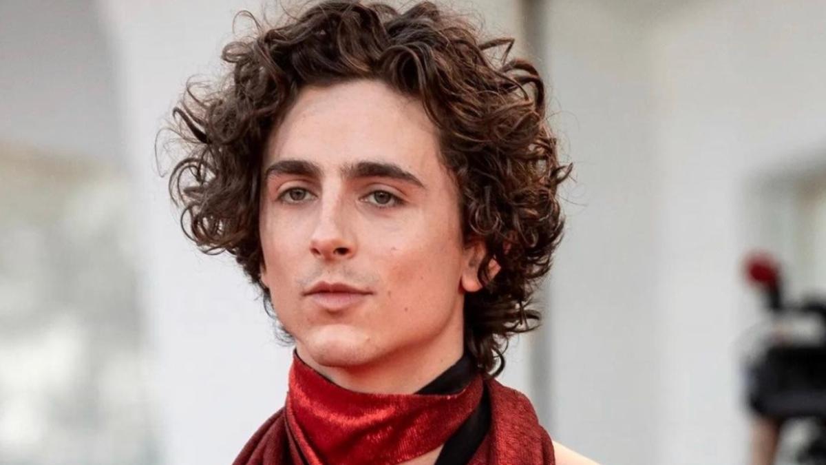 Timothée Chalamet es el hombre más guapo del mundo, ¿a quiénes dejó en el camino?