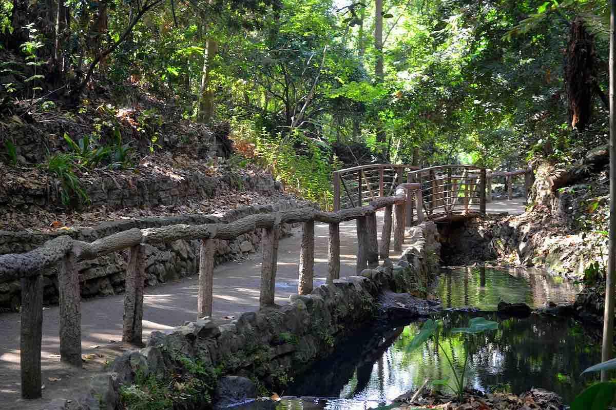 Explora Griffith Park en Los Ángeles: Aventura Natural y Cultural para toda la Semana