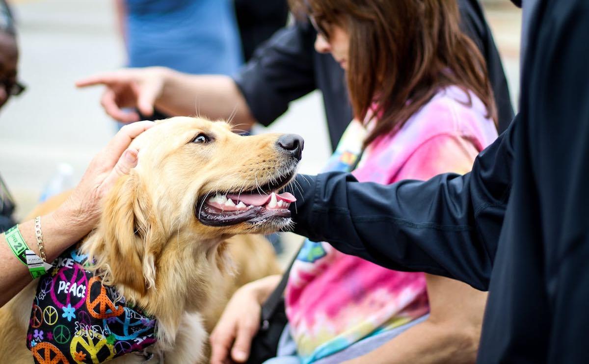 El Cuidado Integral de las Mascotas: Una Guía para Familias Responsables