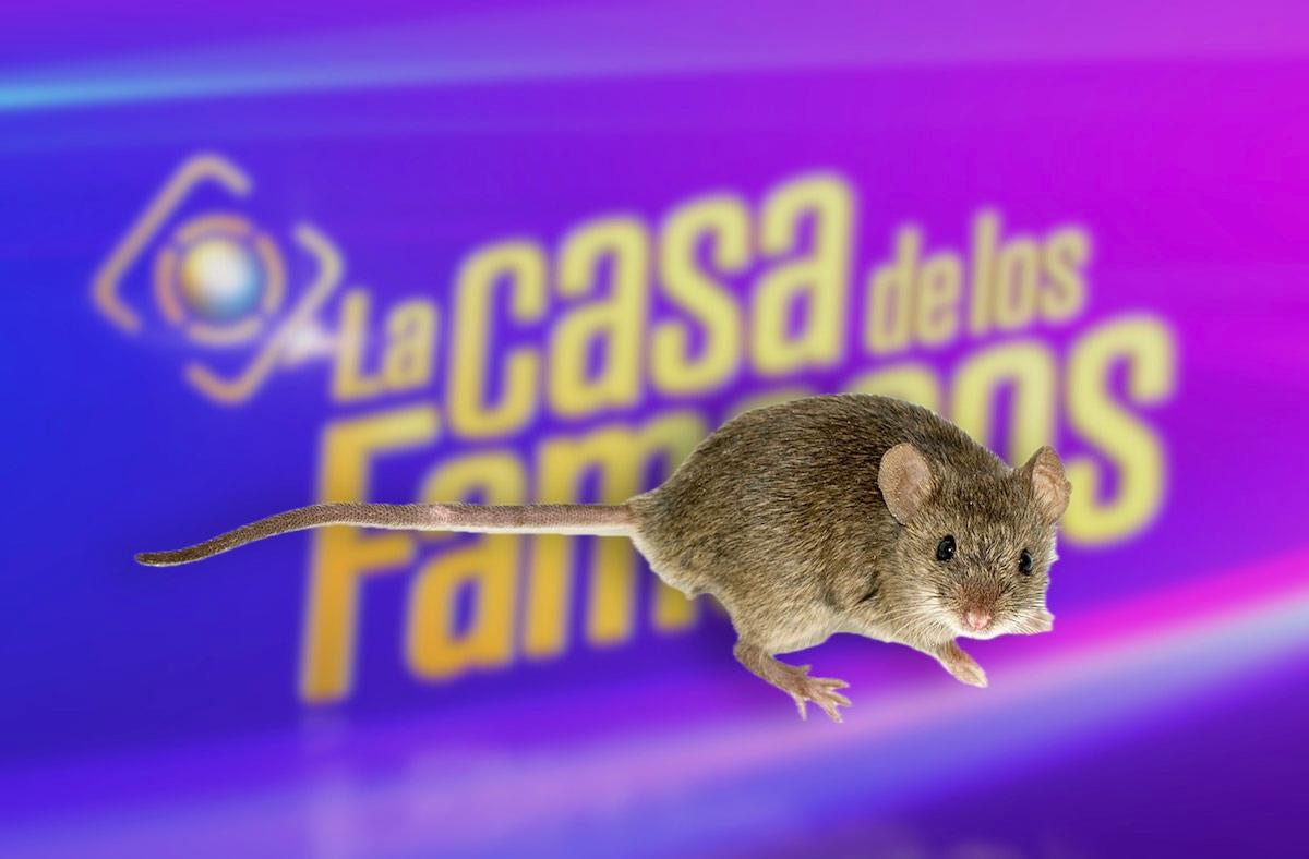 Inquilinos Inesperados: Ratones en ‘La Casa de los Famosos 4’ Desatan Polémica