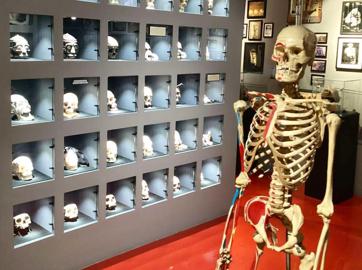 El Museo de la Muerte en Los Ángeles: Una Inmersión en lo Macabro y lo Extraño