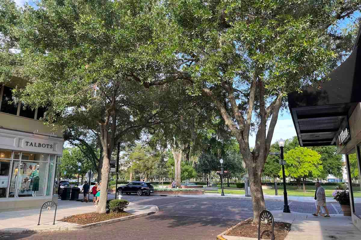 Descubre Winter Park: Un Oasis de Cultura y Naturaleza en Orlando