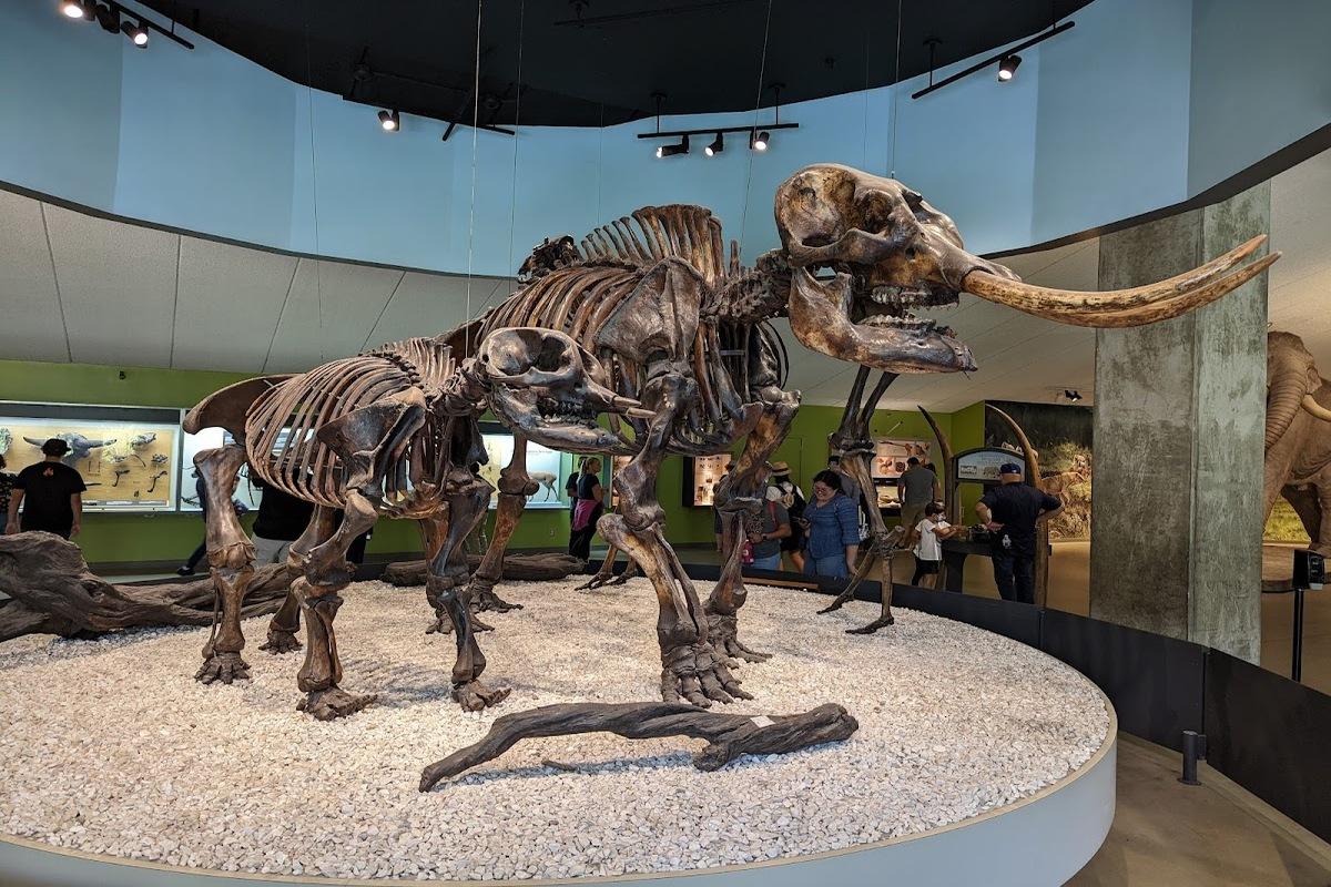 De Los Ángeles a la prehistoria: viaja a la Brea Tar Pits